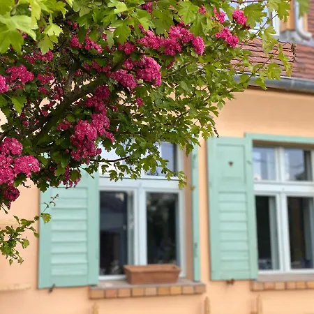 Bed & Breakfast Gut Leben Landresort *