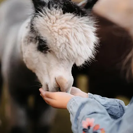 Gut Leben Landresort Alojamento de Acomodação e Pequeno-almoço 4*