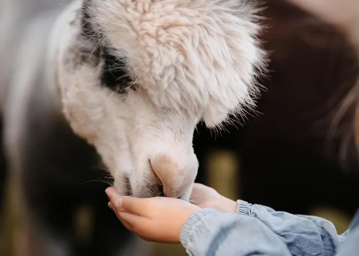 Gut Leben Landresort Oda ve Kahvaltı 4*